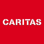 Logo caritas bern