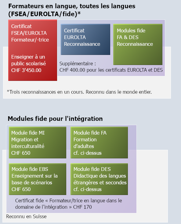 FSEA Grafik